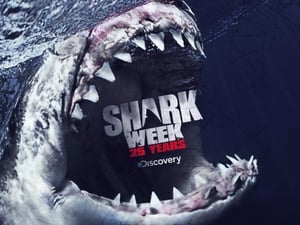 shark week