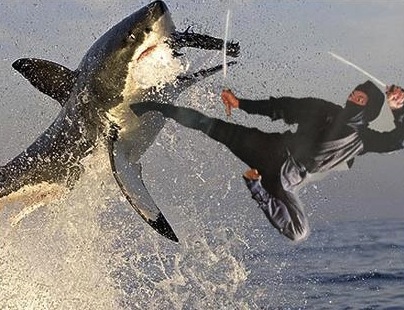 Roundtable Discussion: Shark Week… ish