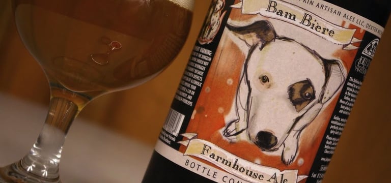 Jolly Pumpkin – Bam Biére