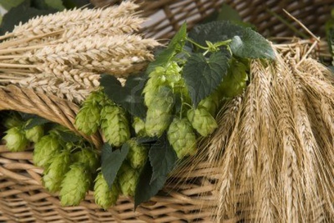 Homebrewing – Define Your Style