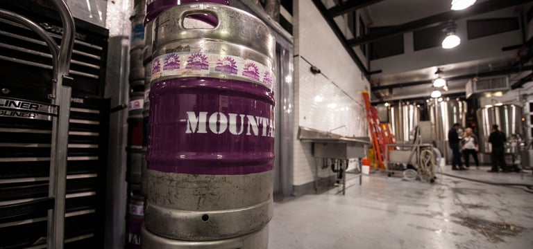 2014 Mountain Sun Stout Month Lineup
