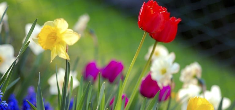 PorchDrinking Playlist | March Mix