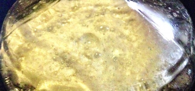 Homebrew: Make a Yeast Starter