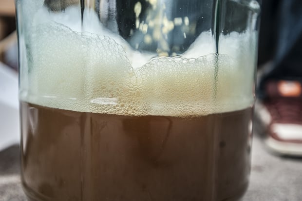 Passing Afternoon – 100% Brett Mosaic Pale Ale Passing Afternoon – 100% Brett Mosaic Pale Ale