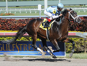 Verrazano