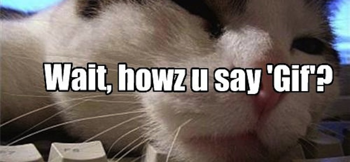The Pronunciation Wars- GIF
