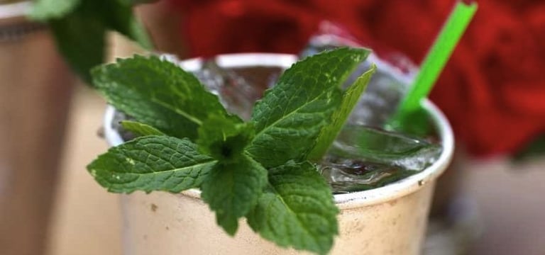 Drinking in Style | How to Make the Perfect Mint Julep