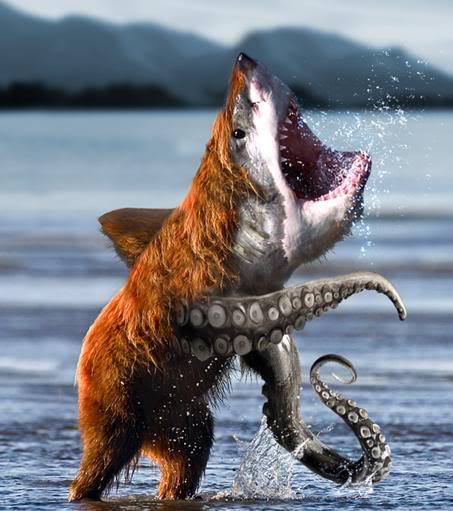 bearsharktapuss