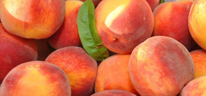 Homebrewing: Brewing with Fruit