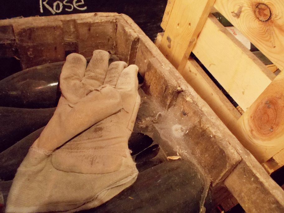 Cantillon_glove