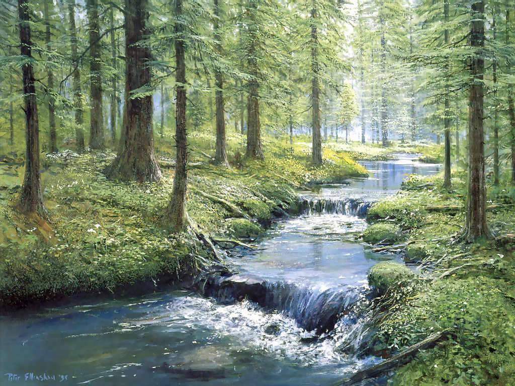Fine-Art-Garden-Within-Forest-Stream-1b6k3za