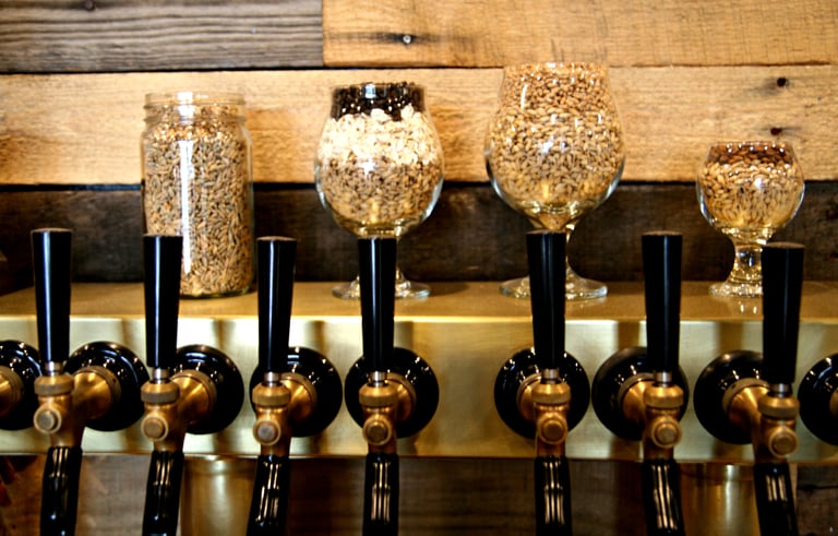 Baere Brewing Co. | Denver, Colorado