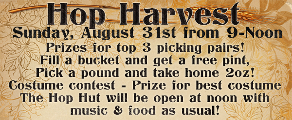 hop harvest