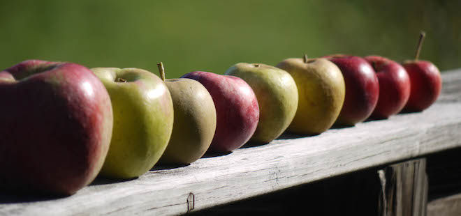 Ultimate 6er | Washington Cider Week