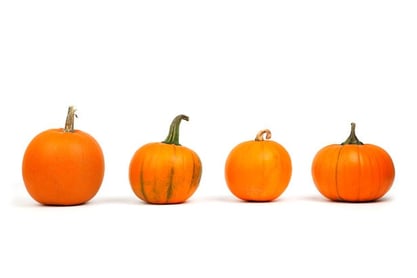 ckbc - pumpkin saison cask - dbb - 10-29-14