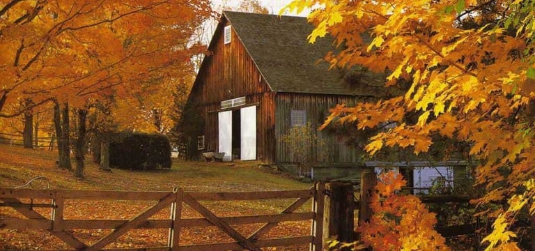 PorchDrinking Playlist | Thanksgiving Playlist Part 2