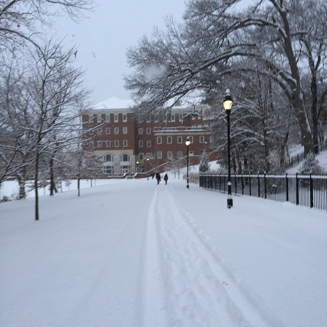 Roundtable Discussion | Snow