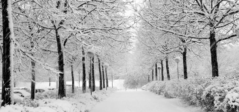 PorchDrinking Playlist | Melodies for Arctic Hearts