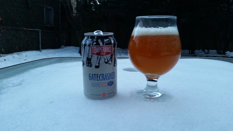 Temperance Beer Co. | Gatecrasher IPA