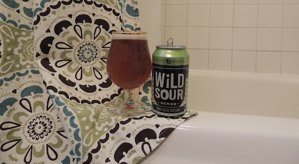 Destihl Brewery | Here Gose Nothin’ (Wild Sour Series)