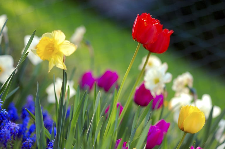 Roundtable Discussion | Favorite Spring Seasonals