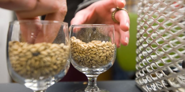 Weekly Growler Fill | National Beer News Roundup