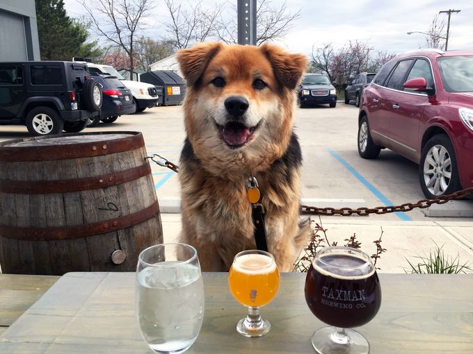 Weekly Growler Fill | National Beer News Roundup