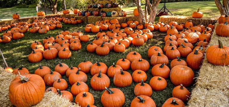 PorchDrinking Playlist | Pumpkin!!!