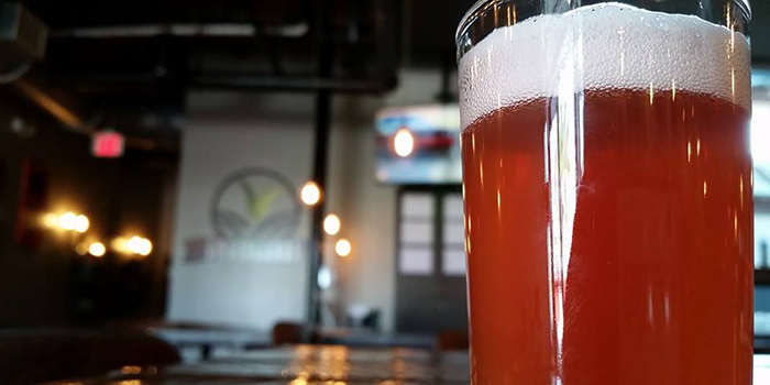 GrassLands Brewing Co. | Tallahassee, Florida