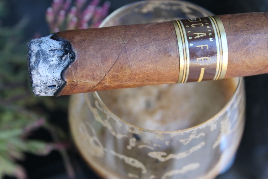 Cappuccino Nub Café from Oliva - First Third