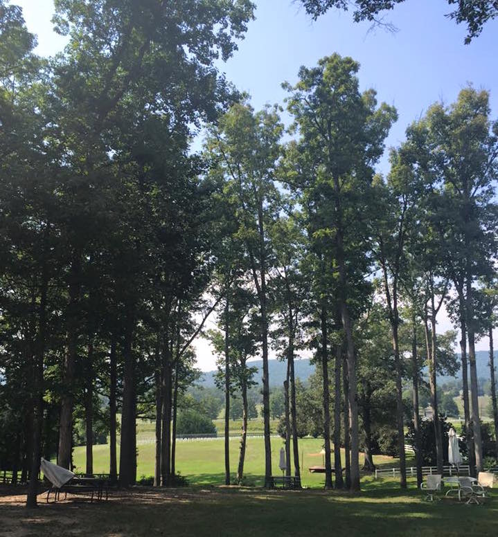 Ultimate 6er | Virginia Brew Adventure