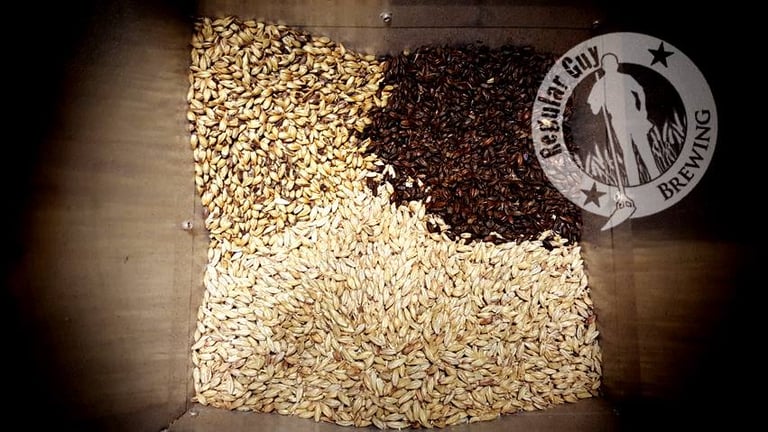 Brewery Showcase | Regular Guy Brewing Gets New Brain