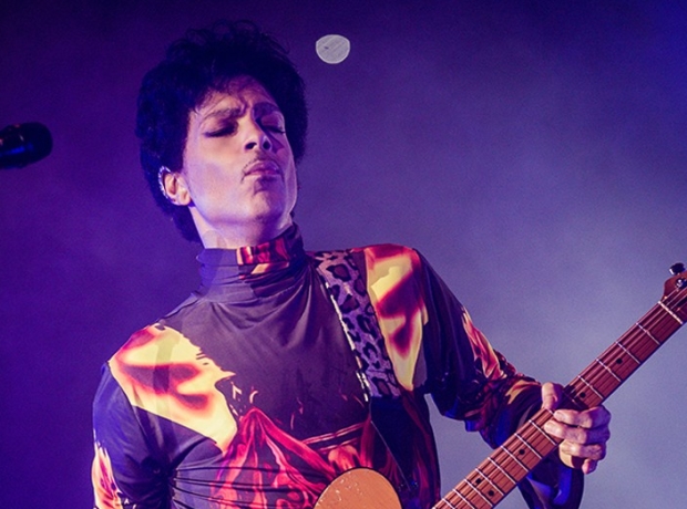 I Should Have Gone to the Prince Show
