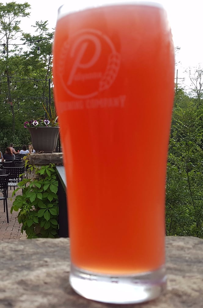 Pollyanna Brewing Summerly Raspberry Wheat