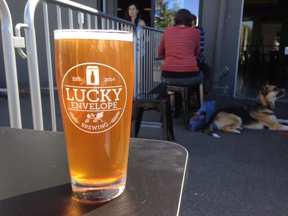Lucky Envelope Brewing | ENIAC Mosaic IPA