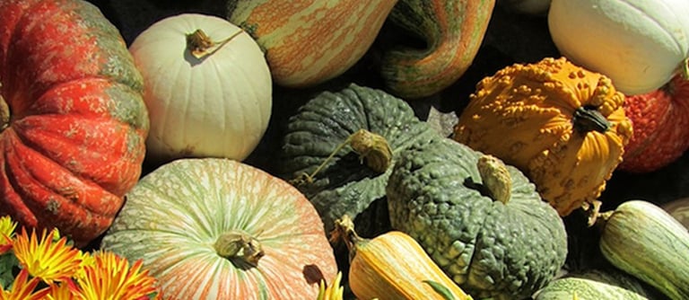 PorchDrinking Playlist | Fall Y’all