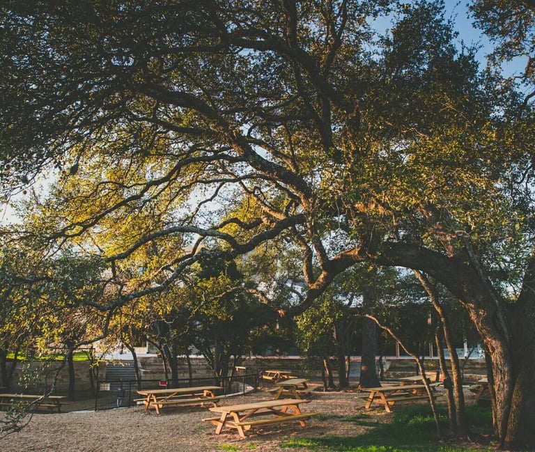 12 Beers of Christmas | Live Oak Brewing Co. | Primus