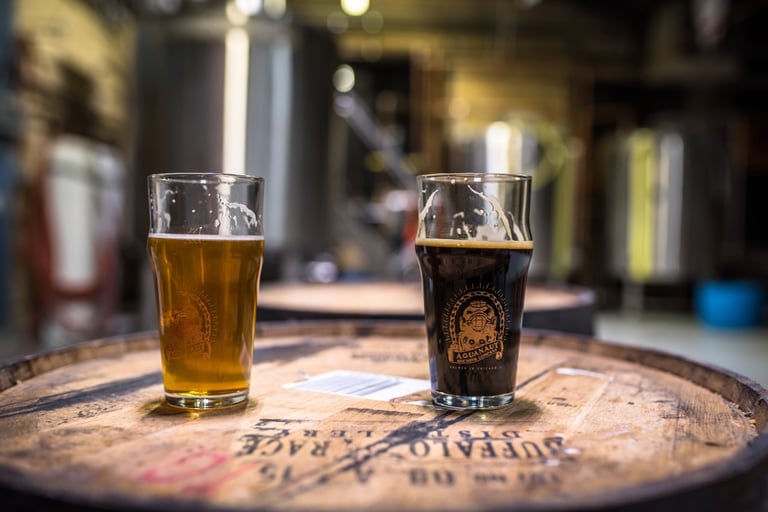 Inside the Tank | Aquanaut Brewing Company