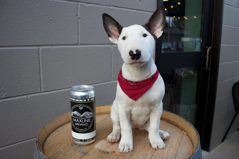 Brewery Showcase | Maxline Brewing