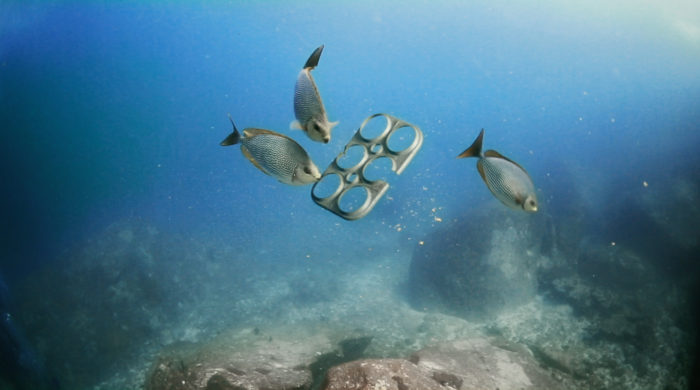 The Beer Industry’s Creativeness to Help the Earth
