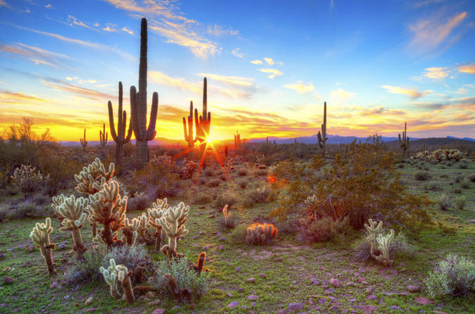 Ultimate 6er | Beers to Drink in the Desert