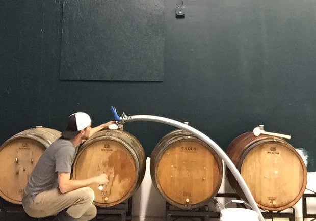 Cellar West Artisan Ales | Sapience