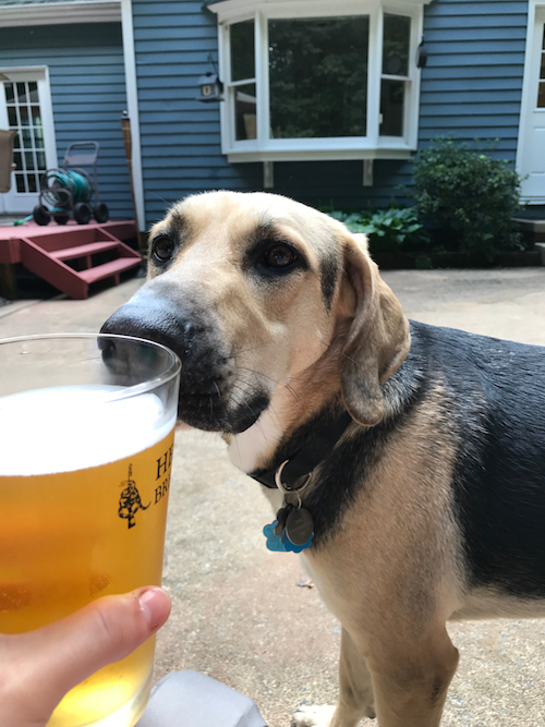 What We're Drinking