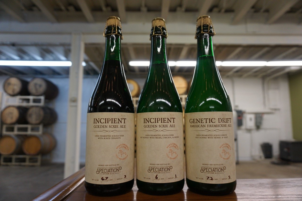 Speciation Artisan Ales bottles