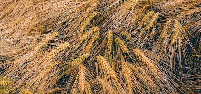 Event Preview | Deer Creek Malthouse’s Malt-A-Palooza