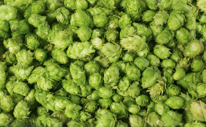 Craft Beer Report Card | January 2018