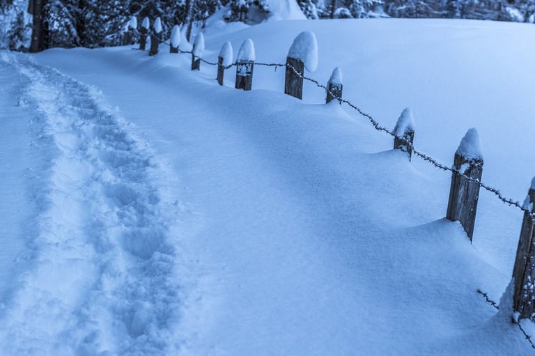 Ultimate 6er | Surviving the Nor’easter(s)