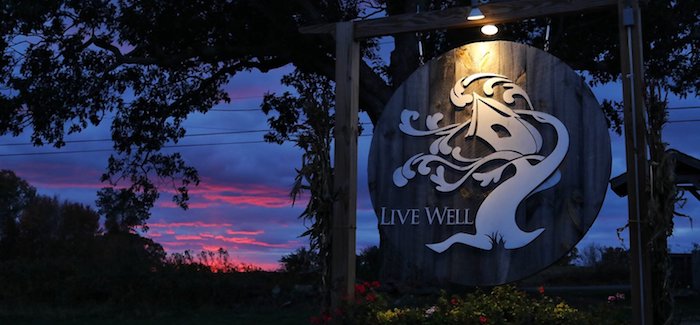 Tree House Brewing Company | Lights On