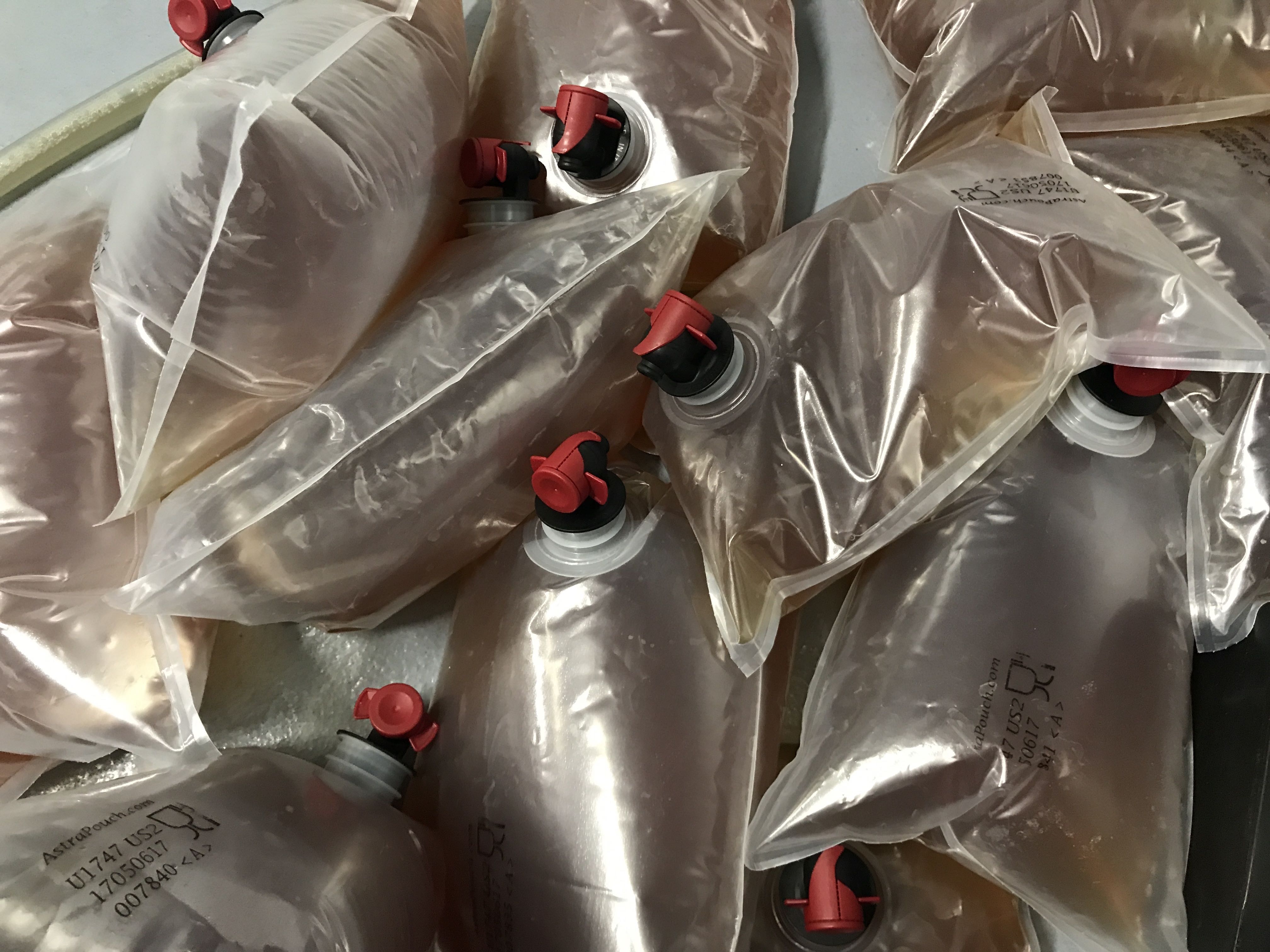 Primitive Beer Features Lambic and Gueuze-style beer in bags