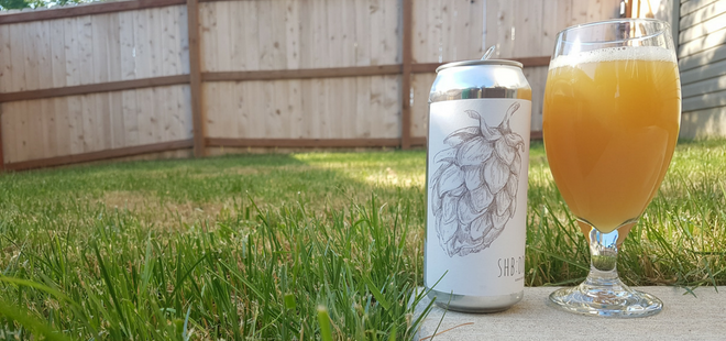 Narrow Gauge Brewing | SHB: DDH Citra